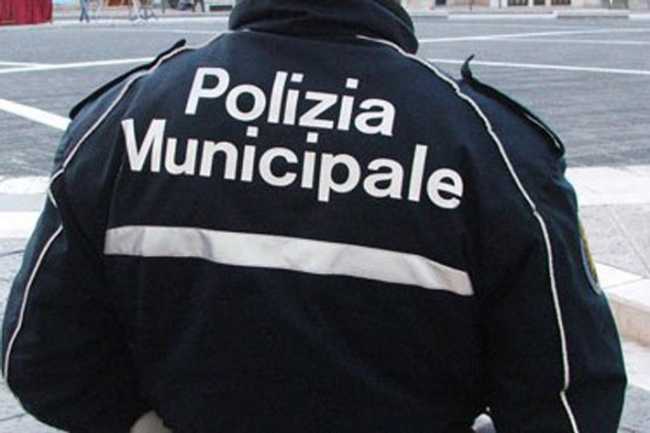 vigili