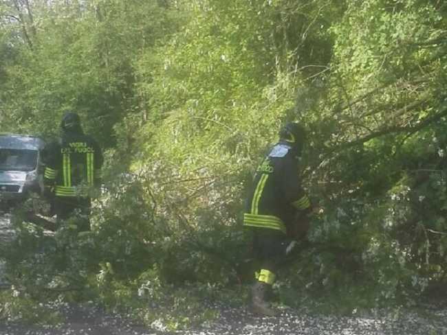 Violento maltempo nel Medio Novarese: alberi caduti e strade allagate