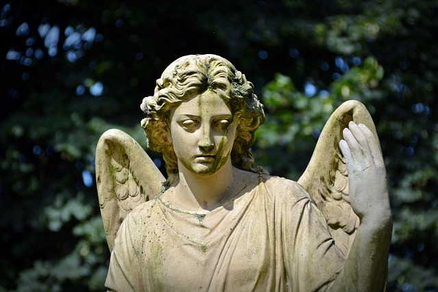 Occultamento o distruzione di cadavere: l'avv. Crapanzano spiega la Legge