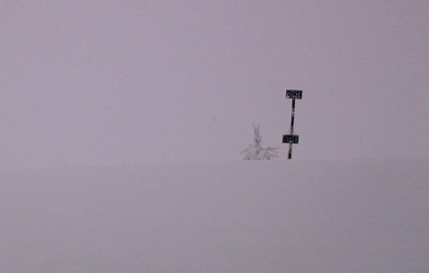 Schermata 2019 11 24 alle 10.56.38