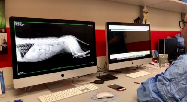 Schermata 2021 04 11 alle 11.04.20