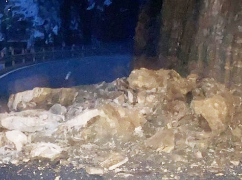 frana camedo gennaio 21