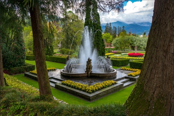 Weekend verde a Verbania: Artemisia entra nel clou